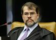 STF decide que municípios podem legislar sobre matéria ambiental de interesse local