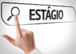 IEF oferece vaga de estágios no Cetas de BH
