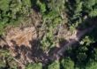 PF e Ibama deflagram operação contra extração ilegal de madeira amazônica