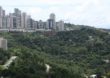 Mais de 180 cidades de Minas continuam a devastar a Mata Atlântica