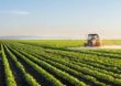 Você já ouviu falar na Comunidade que Sustenta a Agricultura?