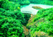 Integridade Ecológica
