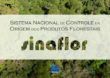 Sinaflor aperfeiçoa e amplia controle da cadeia produtiva florestal no país