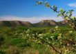 Sancionada lei para criação do fundo para compensação ambiental