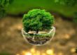 MPMG apresenta projeto sobre gestão ambiental municipal na I Mostra de Projetos do Ministério Público