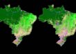 Em três décadas, Brasil perde 71 milhões de hectares de florestas