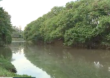 Lagoa da Pampulha, em BH, passa por obras de desassoreamento