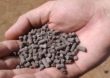 Cientistas da UFU produzem fertilizante com lodo de esgoto