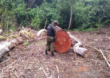 Equipes do Ibama sofrem ataques durante fiscalização na Amazônia