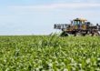 Seminário do ILB discutirá matérias legislativas relacionadas ao agronegócio