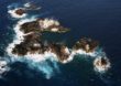 COP-14: Brasil adere à Declaração para proteger habitats