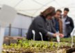 Meio ambiente, economia e produção de alimentos se encontram na Agronomia