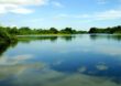 CMA vota preservação obrigatória da biodiversidade no período de cheias dos rios
