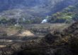 Brasil atinge meta de redução de emissões de carbono na área florestal