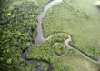 Brasil recebe US$ 96 milhões do Fundo Verde