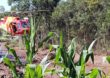 Vale afirma que começou a realizar pagamentos para moradores de Brumadinho