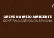 Servidores do meio ambiente em greve! Confira nossa agenda de luta da semana em Belo Horizonte.