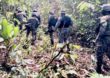 Fiscais acusam militares de atrapalhar combate ao desmatamento na Amazônia