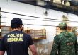 PF cumpre 12 mandados para combater comércio ilegal de pássaros silvestres em MG