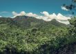 Perguntas sobre o meio ambiente, respostas para salvar o Planeta